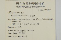 小葉藜藏品圖，第2張