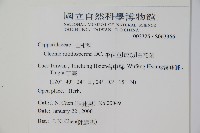 平伏莖白花菜、成功白花菜藏品圖，第2張