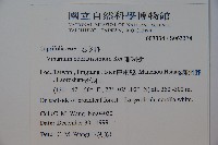 珊瑚樹藏品圖，第2張