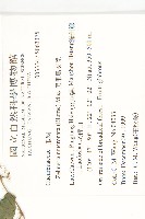 黑果馬交兒藏品圖，第2張