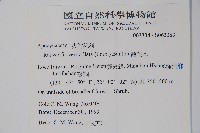 蘿芙木藏品圖，第2張