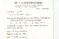 獨行菜藏品圖，第2張