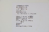 平伏莖白花菜、成功白花菜藏品圖，第2張