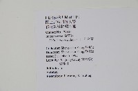 狗尾草藏品圖，第2張