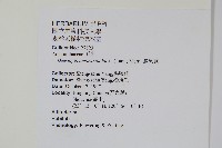 漿果莧、紐藤藏品圖，第2張