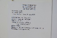 橄欖藏品圖，第2張