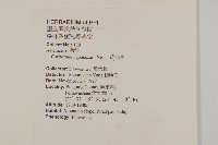 黃金珠藏品圖，第2張