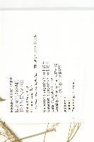 絞股藍藏品圖，第2張