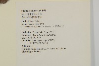 小葉欖仁藏品圖，第2張