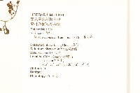 蔓黃菀藏品圖，第2張