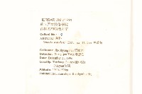 蔓黃菀藏品圖，第2張