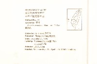蔓黃菀藏品圖，第2張