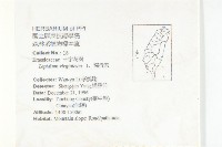 獨行菜藏品圖，第2張