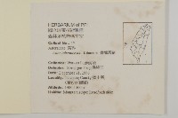 臺灣馬蘭藏品圖，第2張