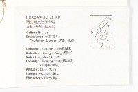 焊菜藏品圖，第2張