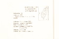 蔓黃菀藏品圖，第2張