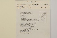 中原氏鬼督郵藏品圖，第2張