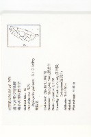 雙輪瓜藏品圖，第2張