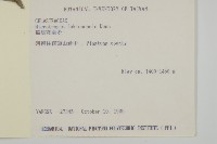 福建賽衛矛、福建假衛矛藏品圖，第2張