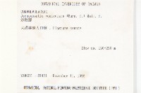 娥房藤藏品圖，第2張