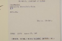 刺裸實、變葉裸實藏品圖，第2張