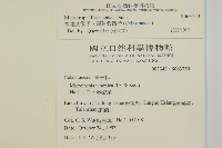 福建賽衛矛、福建假衛矛藏品圖，第2張