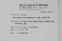 曲莖馬藍藏品圖，第2張