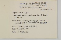 玉山蠅子草藏品圖，第2張