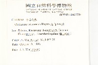 玉山筷子芥藏品圖，第2張