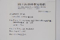 破布烏藏品圖，第2張