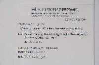 魚木藏品圖，第2張