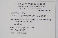 多子漿果莧藏品圖，第2張