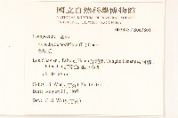 金腰箭藏品圖，第2張