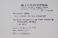 鷗蔓藏品圖，第2張