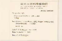 蔓澤蘭藏品圖，第2張