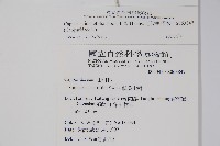 毛瓣蝴蝶木藏品圖，第2張