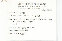 倒吊蓮、匙葉燈籠草藏品圖，第2張