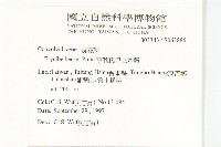 亨利氏伊立基藤藏品圖，第2張