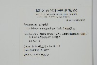 細梗絡石藏品圖，第2張