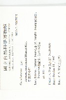 黑果馬交兒藏品圖，第2張