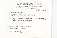 亨利氏伊立基藤藏品圖，第2張