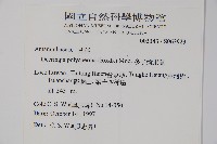 多子漿果莧藏品圖，第2張