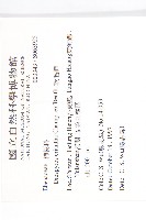 軟毛柿藏品圖，第2張