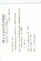 穿山龍藏品圖，第2張