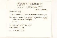 過山龍藏品圖，第2張