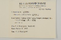 臺灣及己藏品圖，第2張