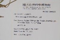 山橙藏品圖，第2張