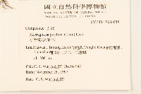 小舌菊、蔓綿菜藏品圖，第2張