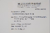 風不動藏品圖，第2張