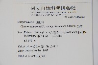 魚木藏品圖，第2張